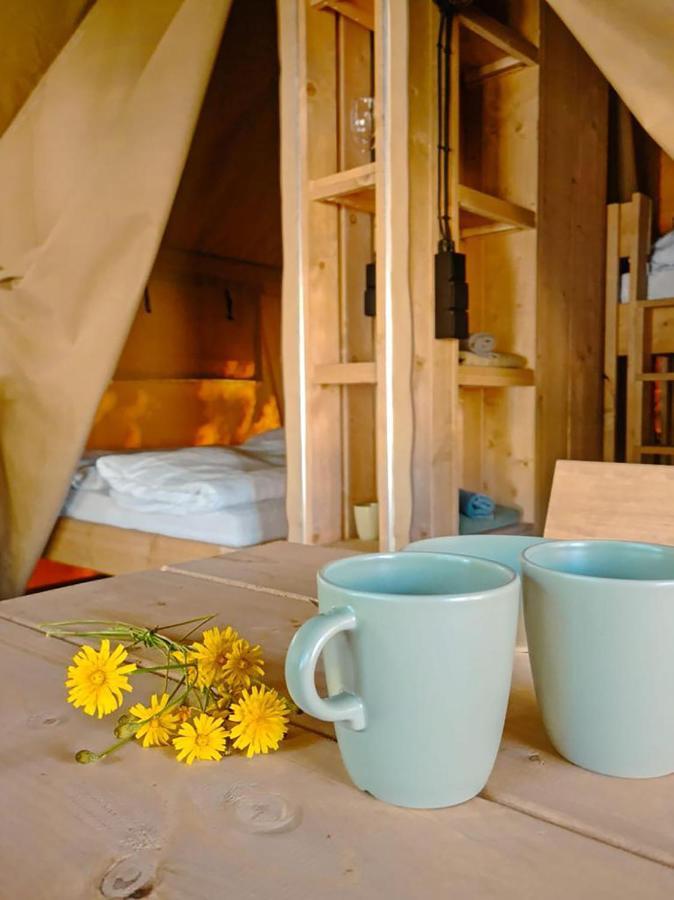 Safari Tent M - Camping Belle-Vue Berdorf Zewnętrze zdjęcie
